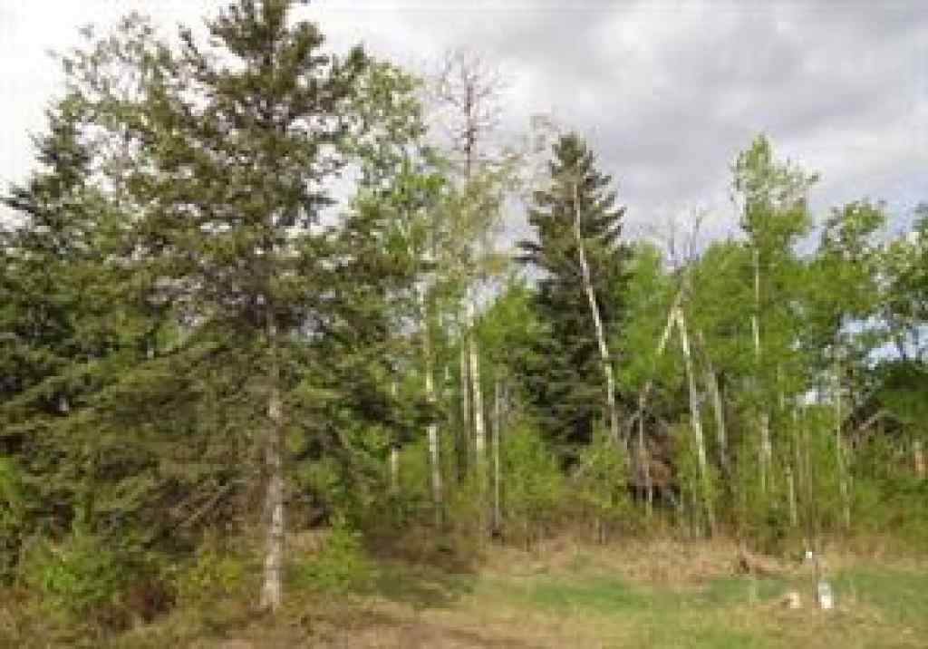 MLS® A2032926 - 122 Wolf Run Drive   in Wolf Creek Village Rural Ponoka County, Land