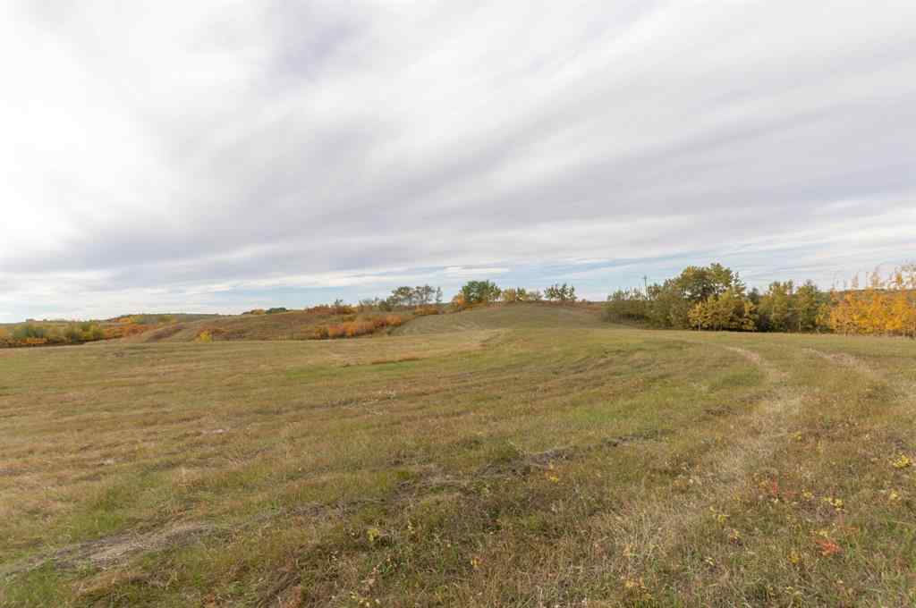 MLS® A2037804 - On TWP 41-2   in NONE Rural Stettler No. 6, County of, Land