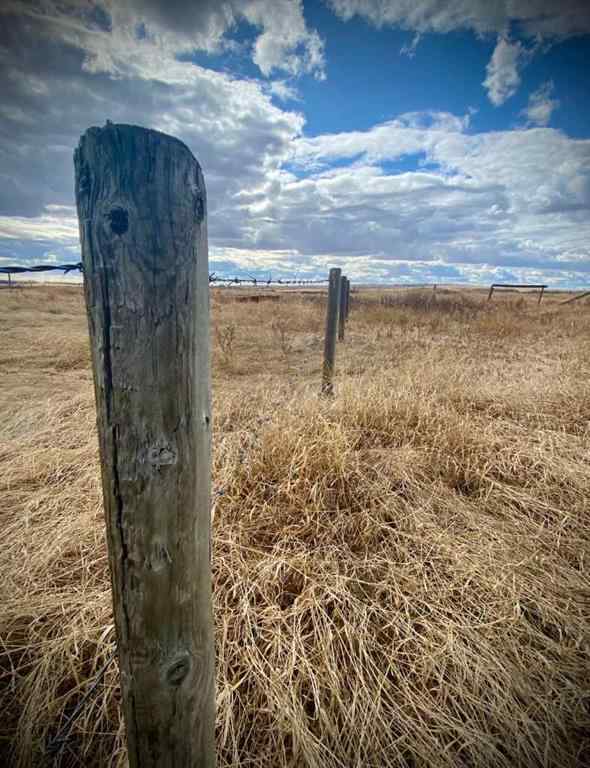 MLS® A2041620 - 14043 TWP RD 393   in NONE Rural Provost No. 52, M.D. of, Land