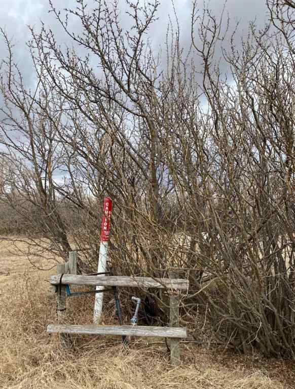 MLS® A2041620 - 14043 TWP RD 393   in NONE Rural Provost No. 52, M.D. of, Land