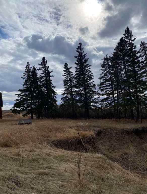 MLS® A2041620 - 14043 TWP RD 393   in NONE Rural Provost No. 52, M.D. of, Land