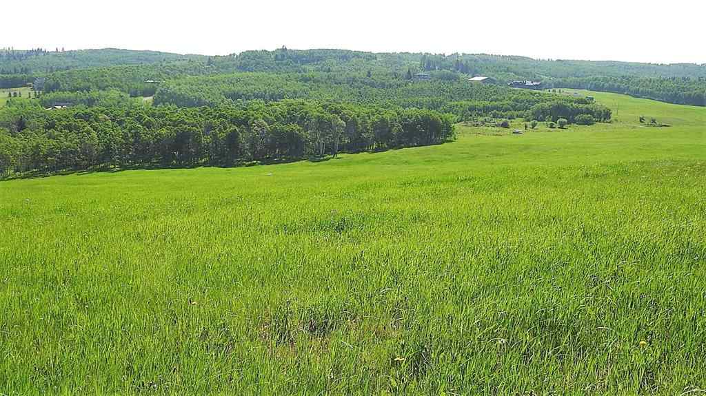 MLS® A2057428 -  79.41 Acres SE-13-22-3W5   in NONE Rural Foothills County, Land