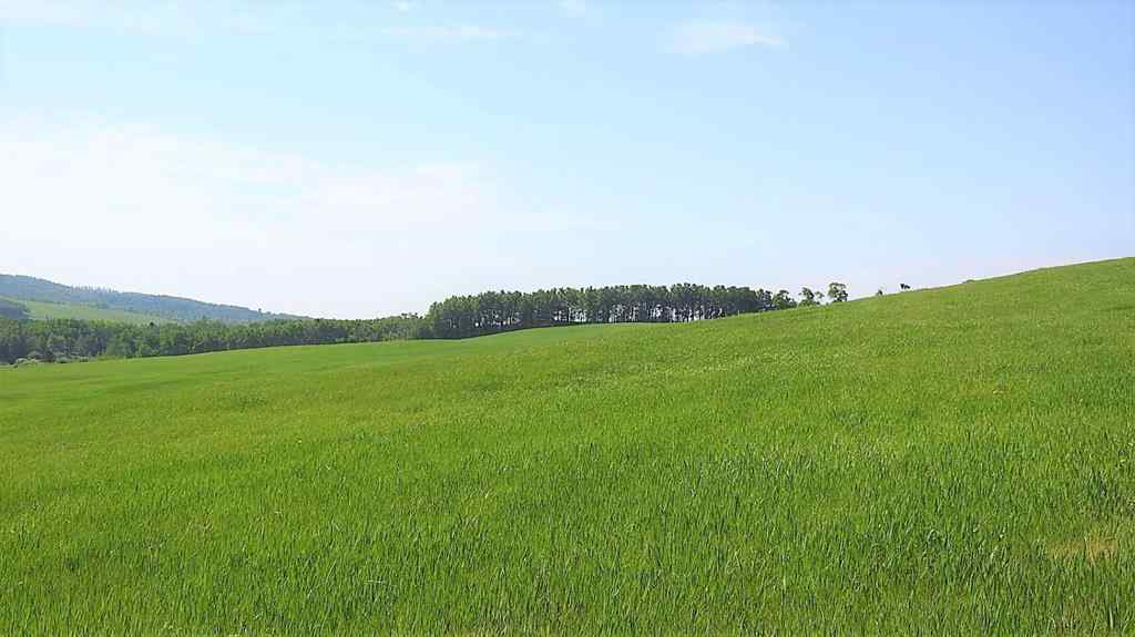 MLS® A2057428 -  79.41 Acres SE-13-22-3W5   in NONE Rural Foothills County, Land
