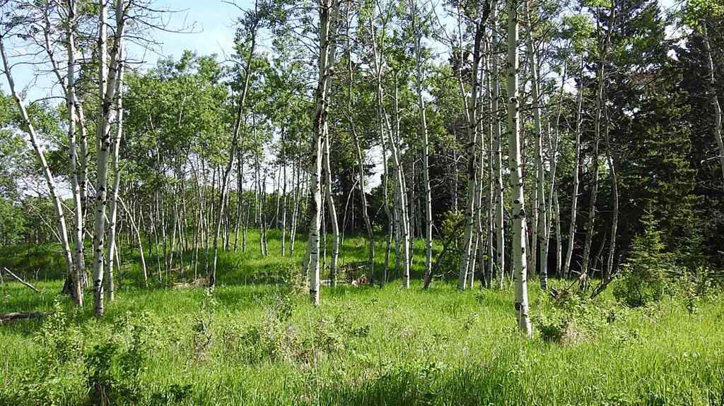 MLS® A2057428 -  79.41 Acres SE-13-22-3W5   in NONE Rural Foothills County, Land