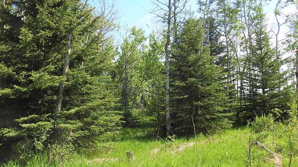 MLS® A2057428 -  79.41 Acres SE-13-22-3W5   in NONE Rural Foothills County, Land