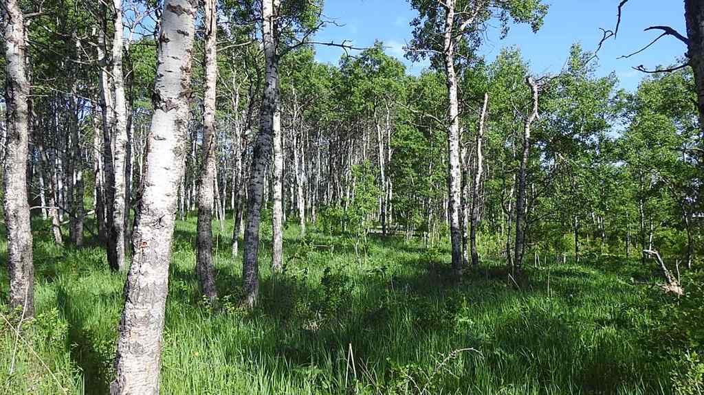 MLS® A2057428 -  79.41 Acres SE-13-22-3W5   in NONE Rural Foothills County, Land