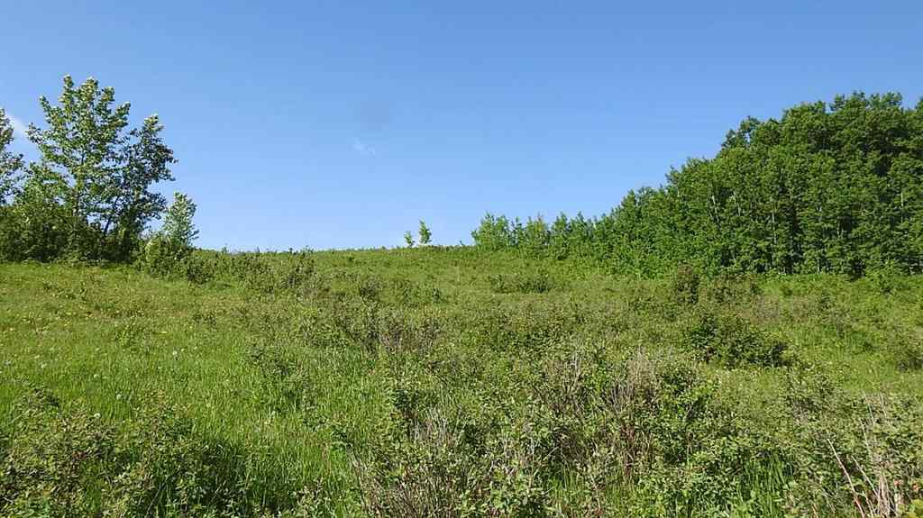 MLS® A2057428 -  79.41 Acres SE-13-22-3W5   in NONE Rural Foothills County, Land