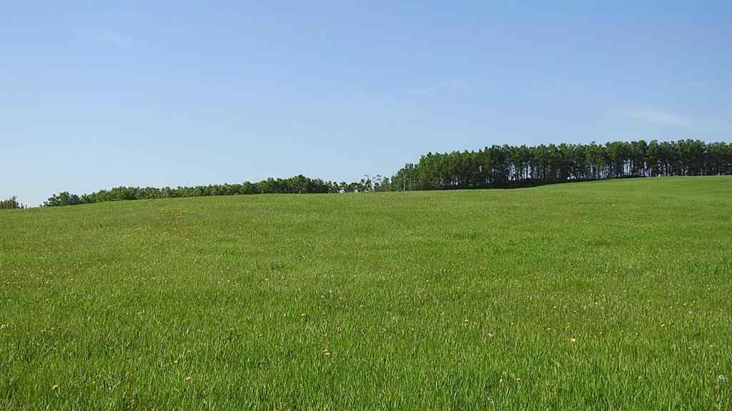 MLS® A2057428 -  79.41 Acres SE-13-22-3W5   in NONE Rural Foothills County, Land