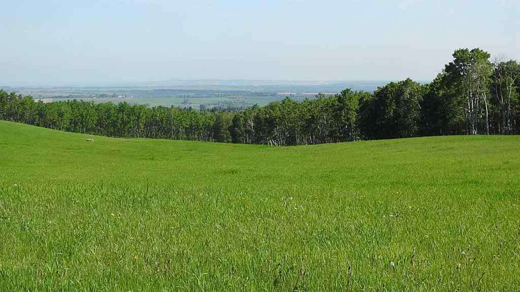 MLS® A2057428 -  79.41 Acres SE-13-22-3W5   in NONE Rural Foothills County, Land