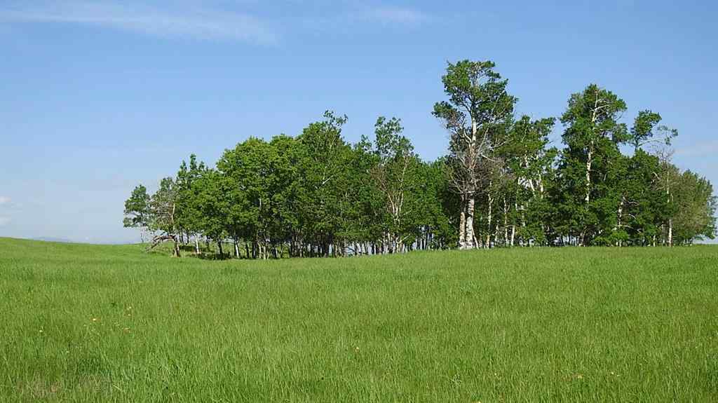 MLS® A2057428 -  79.41 Acres SE-13-22-3W5   in NONE Rural Foothills County, Land
