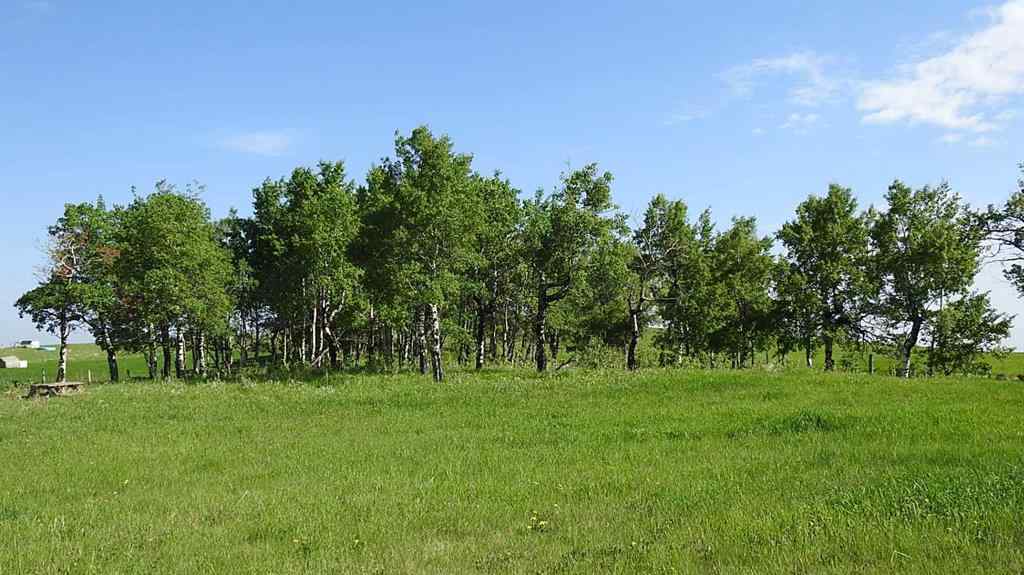 MLS® A2057428 -  79.41 Acres SE-13-22-3W5   in NONE Rural Foothills County, Land
