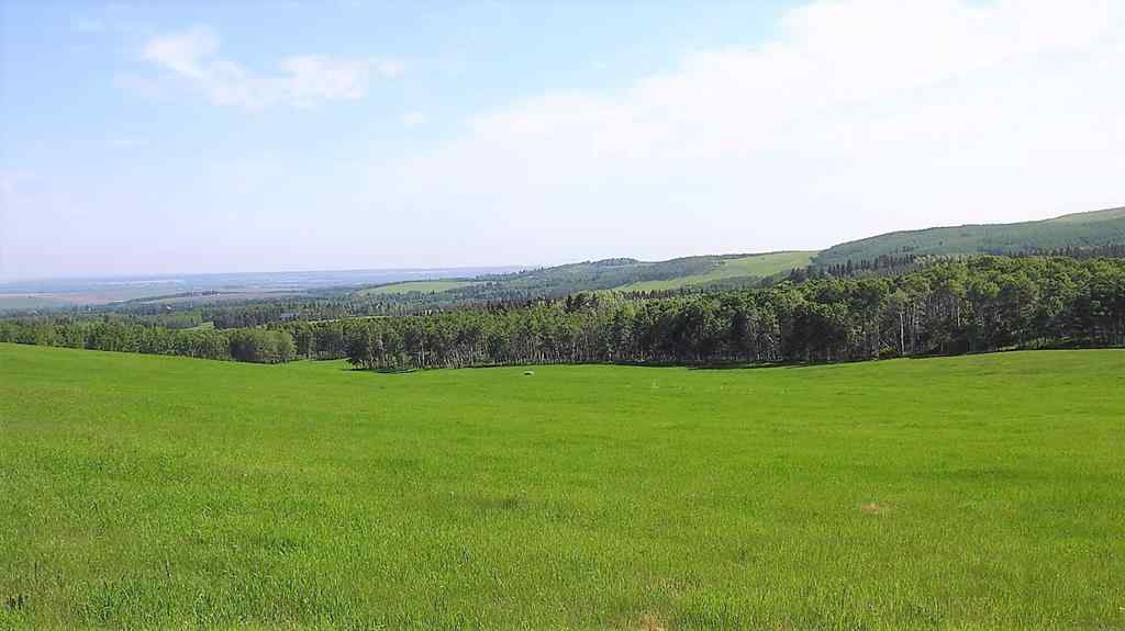 MLS® A2057428 -  79.41 Acres SE-13-22-3W5   in NONE Rural Foothills County, Land
