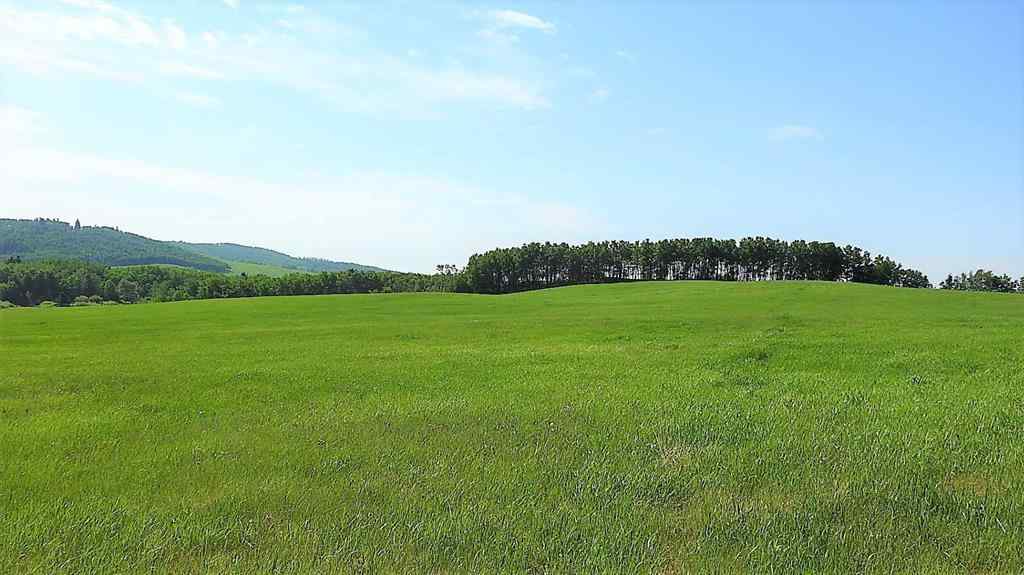 MLS® A2057428 -  79.41 Acres SE-13-22-3W5   in NONE Rural Foothills County, Land