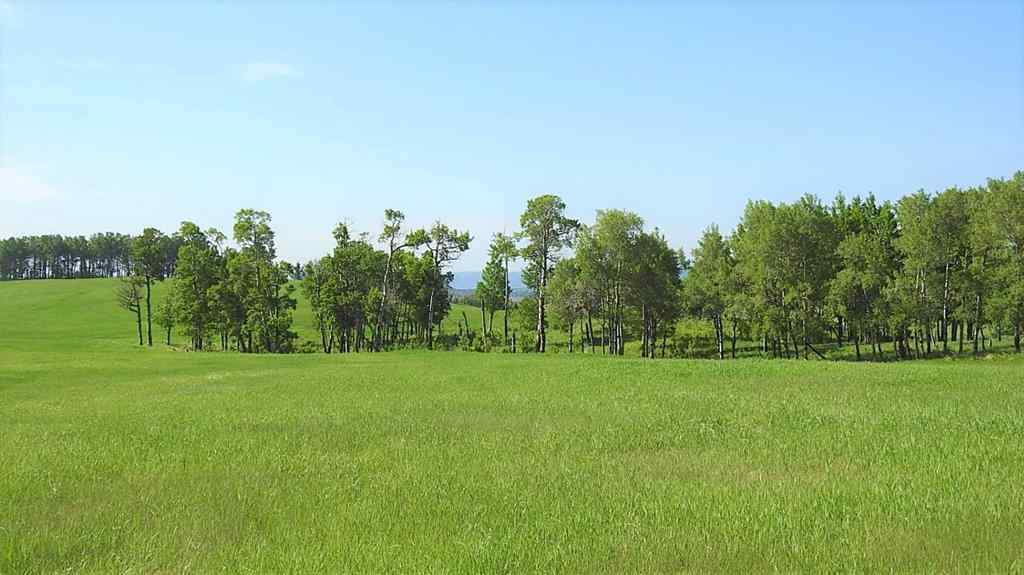 MLS® A2057428 -  79.41 Acres SE-13-22-3W5   in NONE Rural Foothills County, Land