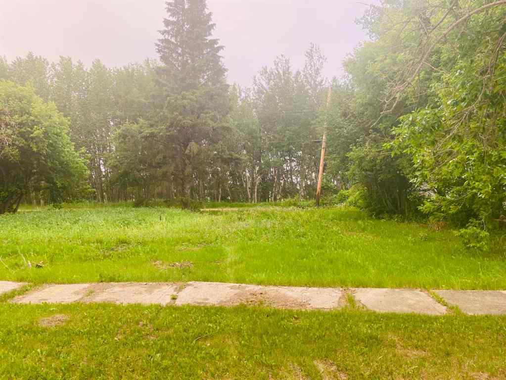 MLS® A2057589 - Unit #104 4th AVENUE NE   in NONE McLennan, Land