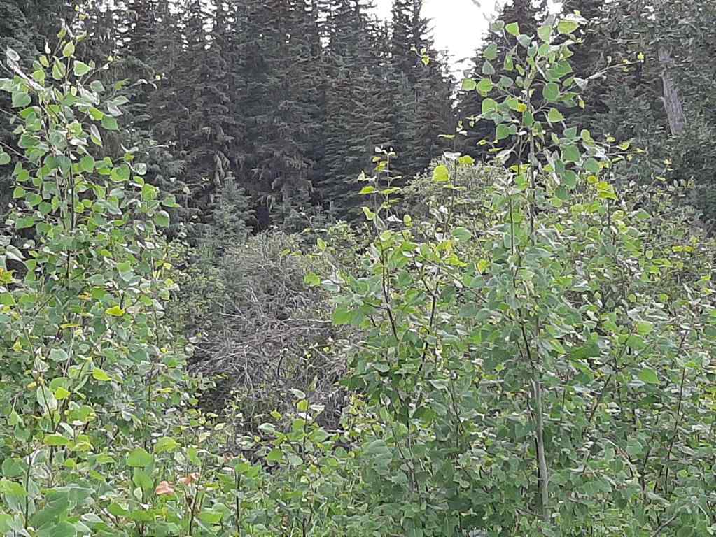 MLS® A2059322 79346 120 Road Rural Saddle Hills County, Alberta, T0H 3E0