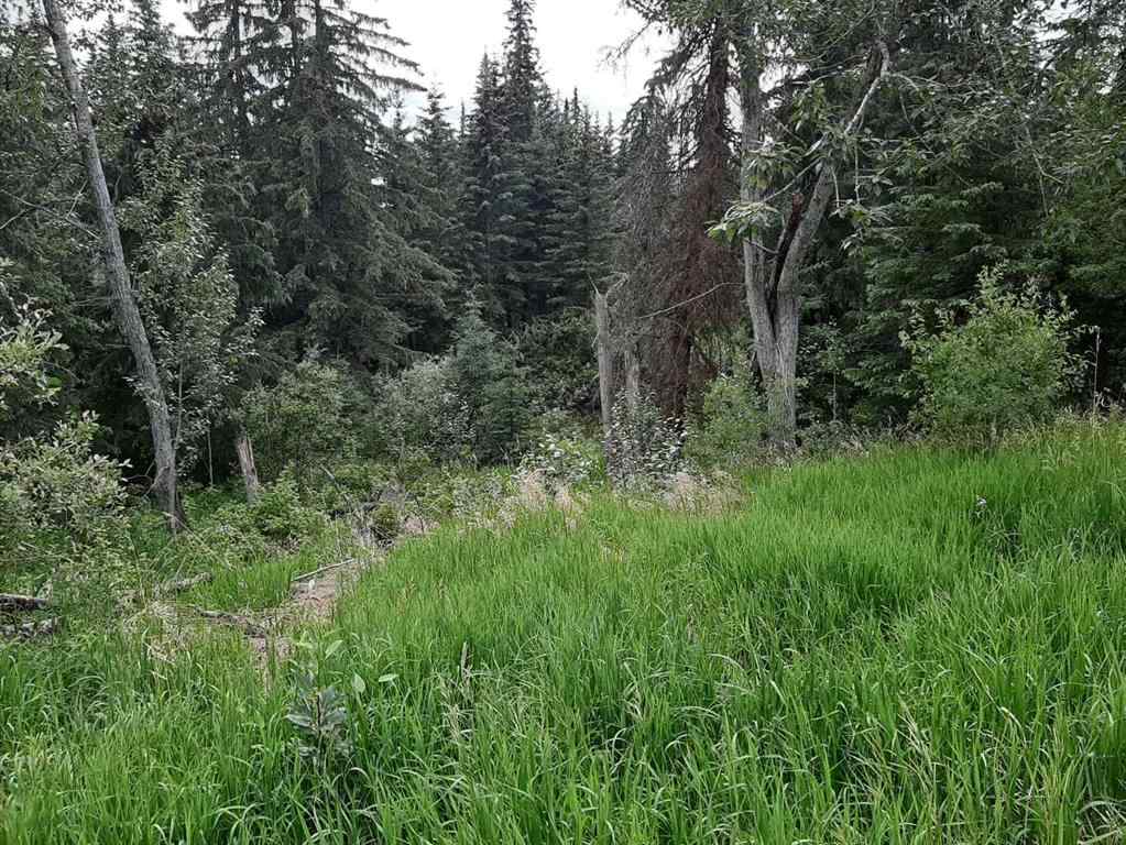 MLS® A2059322 79346 120 Road Rural Saddle Hills County, Alberta, T0H 3E0