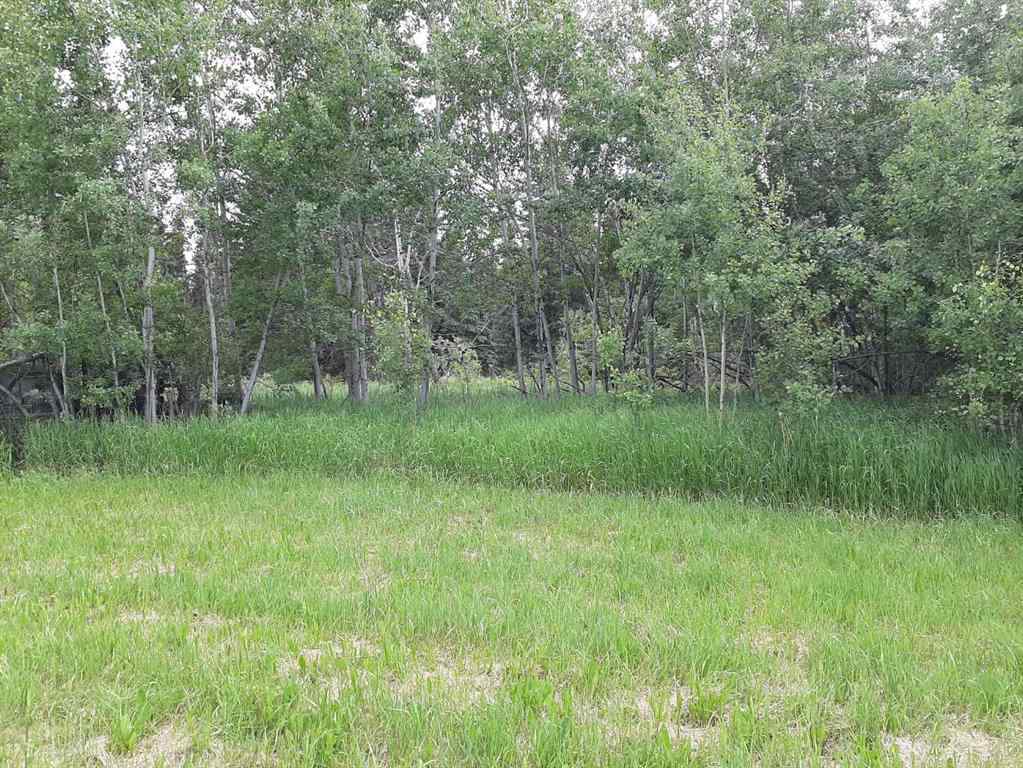MLS® A2059322 79346 120 Road Rural Saddle Hills County, Alberta, T0H 3E0