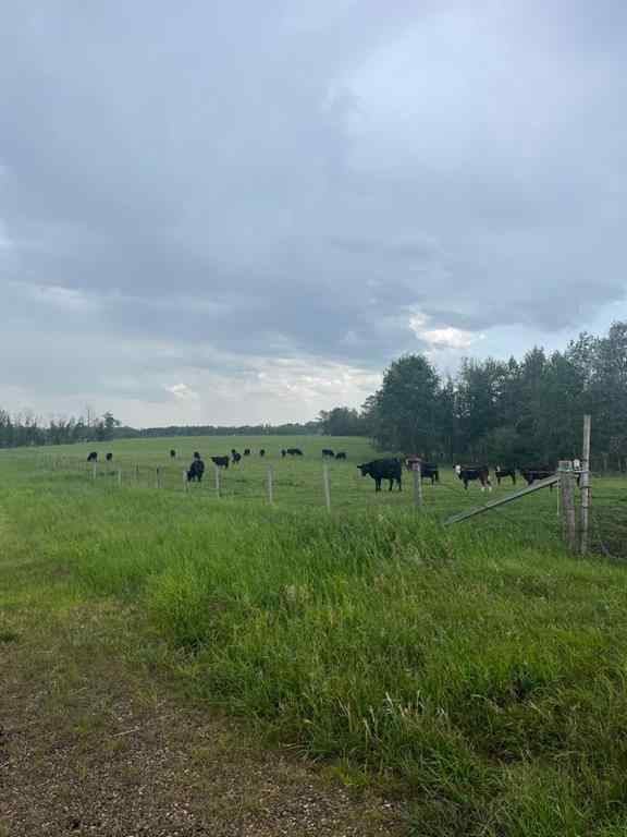 MLS® A2060975 -  70 Acres SE of Innisfial   in NONE Rural Red Deer County, Agri-Business