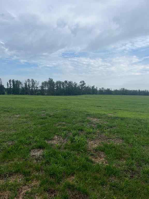 MLS® A2060975 -  70 Acres SE of Innisfial   in NONE Rural Red Deer County, Agri-Business