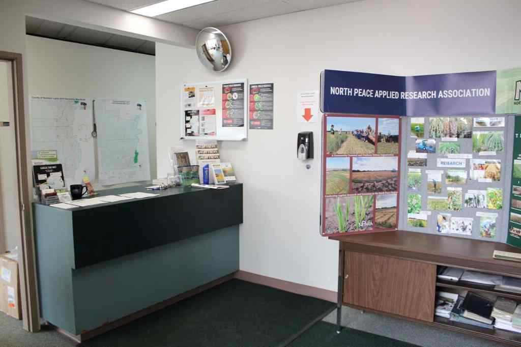 MLS® A2066279 - 116 4th Avenue SW   in NONE Manning, Commercial