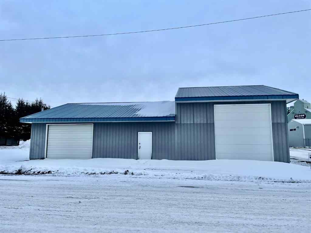 MLS® A2070394 - 4904 51 Street  in Innisfree Innisfree, Commercial