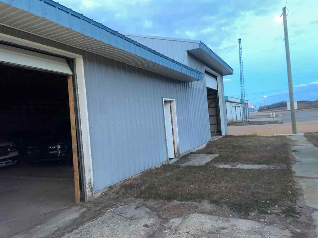 MLS® A2070394 - 4904 51 Street  in Innisfree Innisfree, Commercial