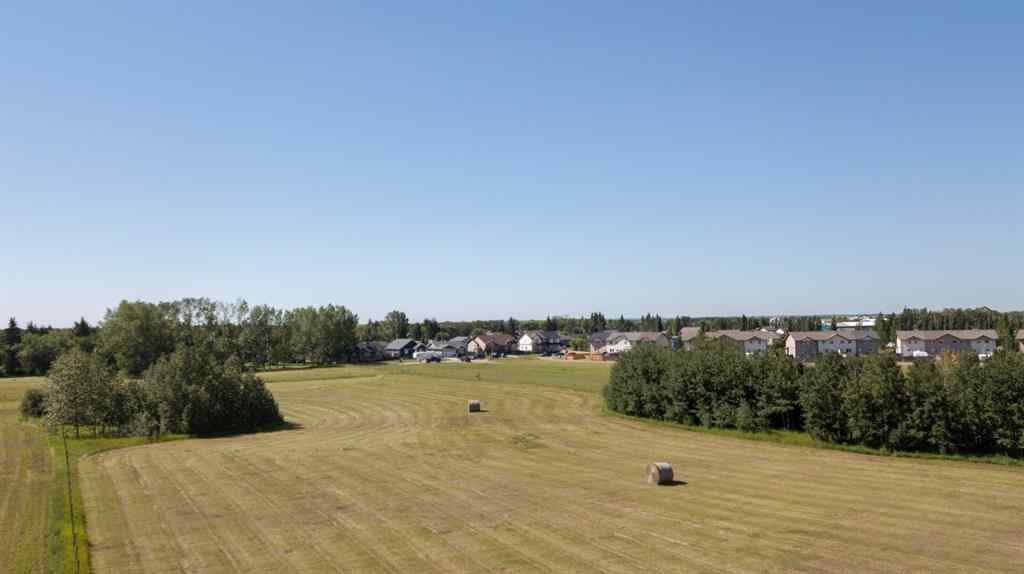 MLS® A2074234 - 5901 55 Avenue  in Emmerson Stettler, Land