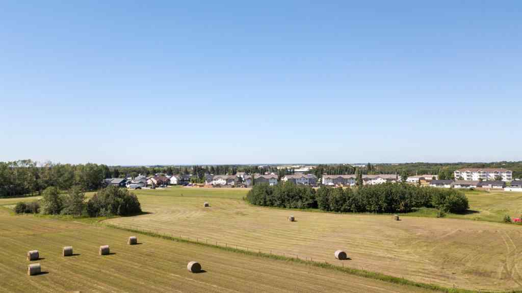 MLS® A2074234 - 5901 55 Avenue  in Emmerson Stettler, Land