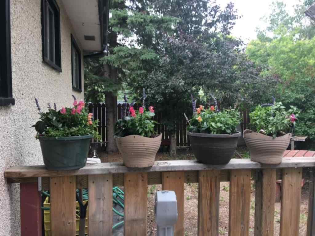 MLS® A2074258 - 5007 49 Street  in Irma Irma, Commercial