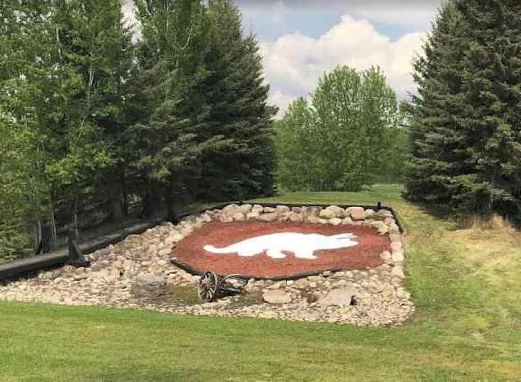 MLS® A2075881 - 703064B Range Road 82   in NONE Wembley, Commercial