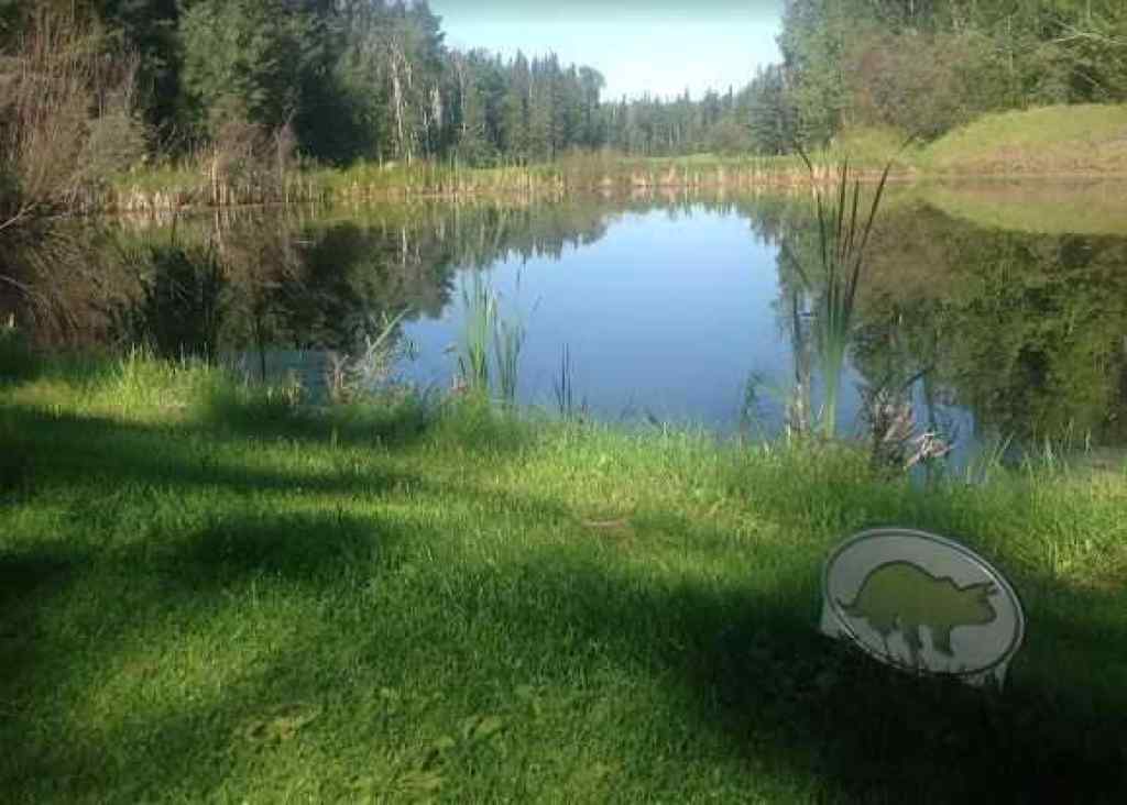 MLS® A2075881 - 703064B Range Road 82   in NONE Wembley, Commercial