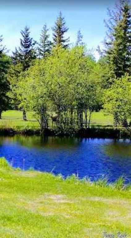 MLS® A2075881 - 703064B Range Road 82   in NONE Wembley, Commercial