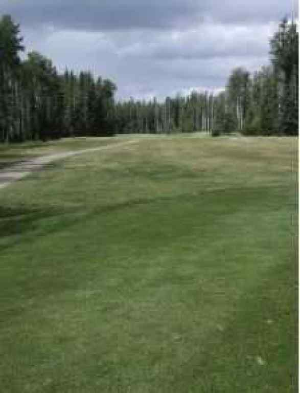 MLS® A2075881 - 703064B Range Road 82   in NONE Wembley, Commercial