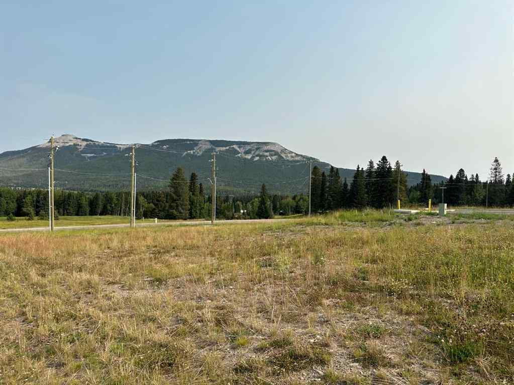 MLS® A2076059 - 108 Centre Street  in NONE Nordegg, Land