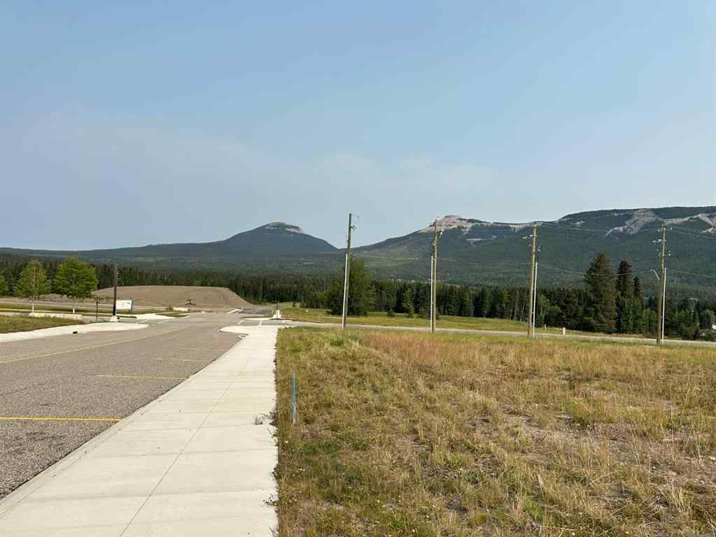 MLS® A2076065 - 104 Centre Street  in NONE Nordegg, Land