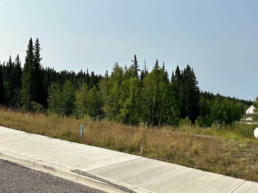 MLS® A2076065 - 104 Centre Street  in NONE Nordegg, Land