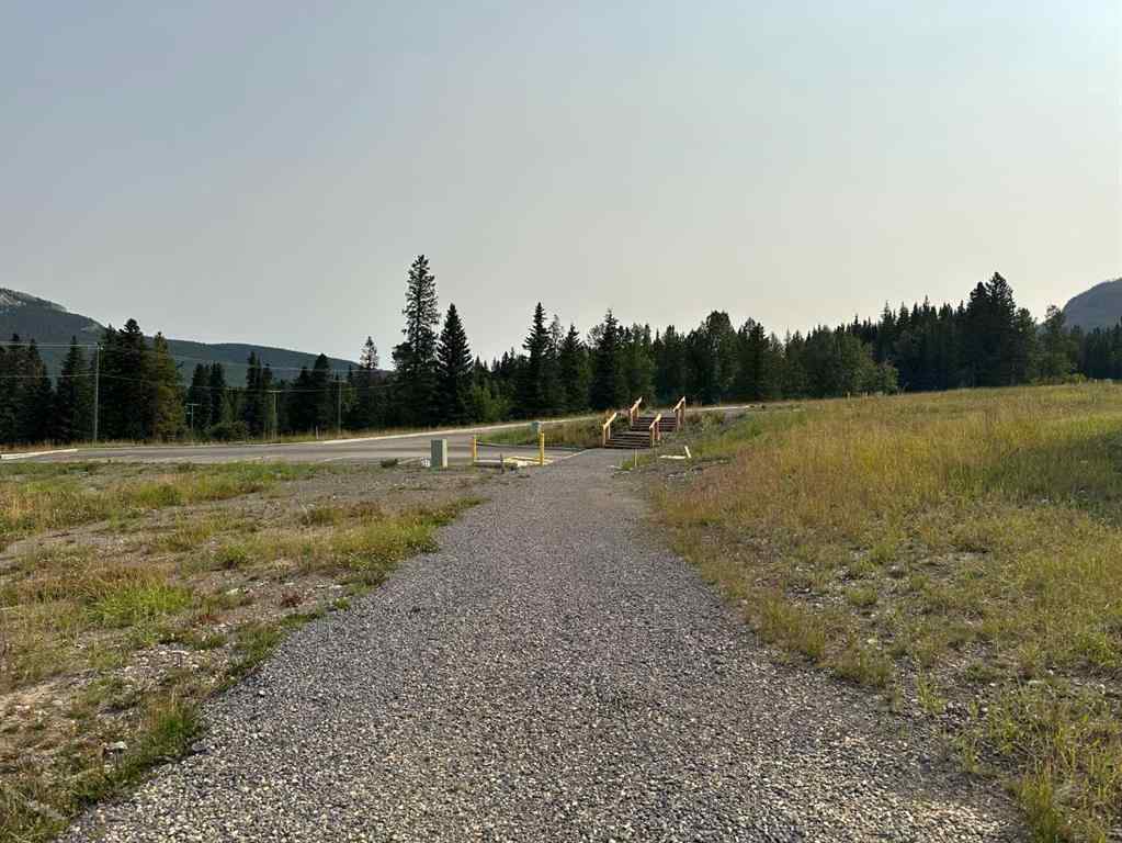 MLS® A2076079 - 113 Centre Street  in NONE Nordegg, Land