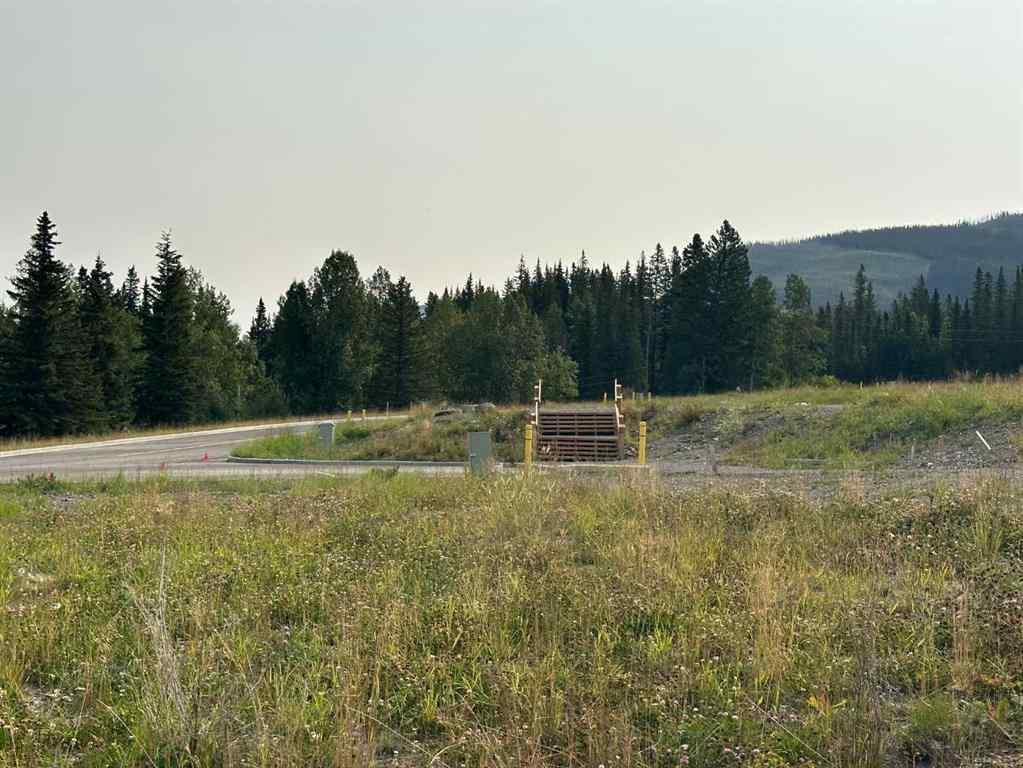 MLS® A2076079 - 113 Centre Street  in NONE Nordegg, Land