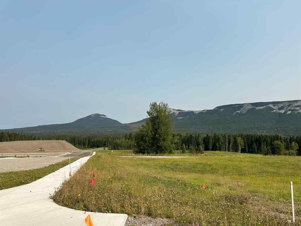 MLS® A2076084 - 116 Centre Street  in NONE Nordegg, Land