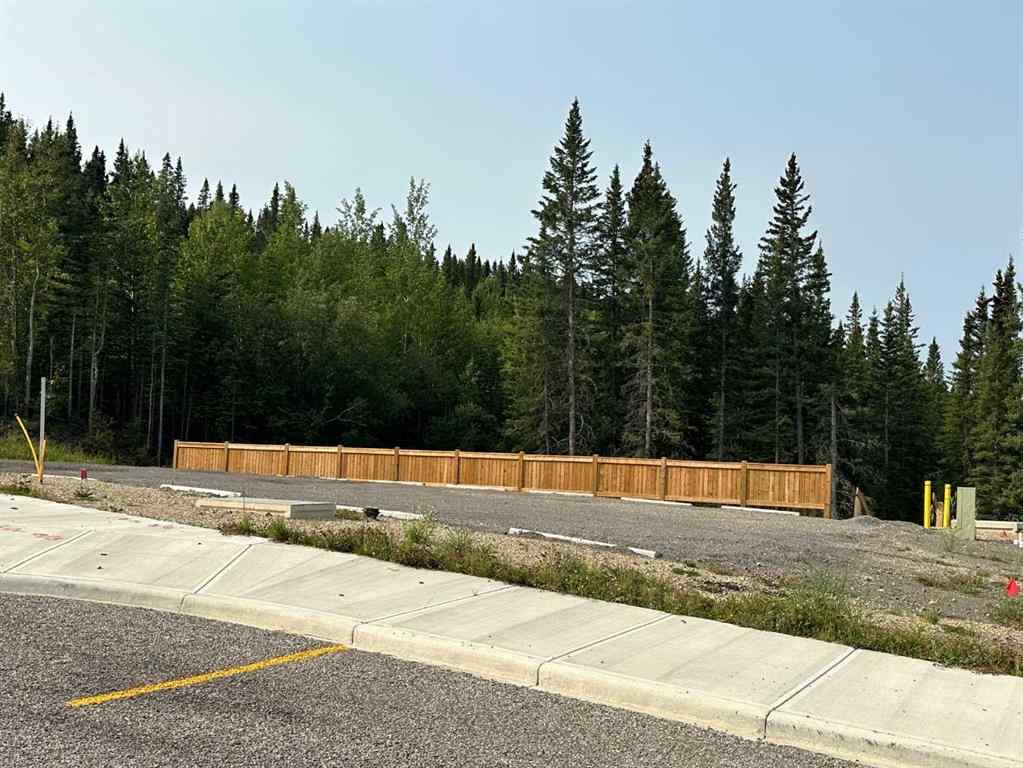 MLS® A2076084 - 116 Centre Street  in NONE Nordegg, Land