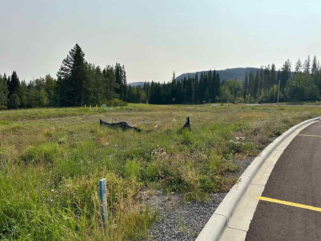 MLS® A2076084 - 116 Centre Street  in NONE Nordegg, Land