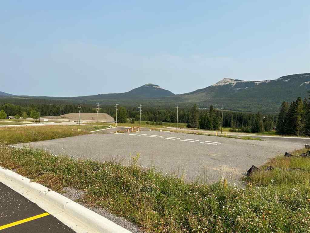 MLS® A2076084 - 116 Centre Street  in NONE Nordegg, Land
