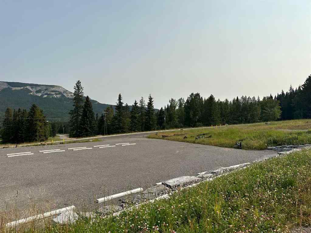 MLS® A2076084 - 116 Centre Street  in NONE Nordegg, Land