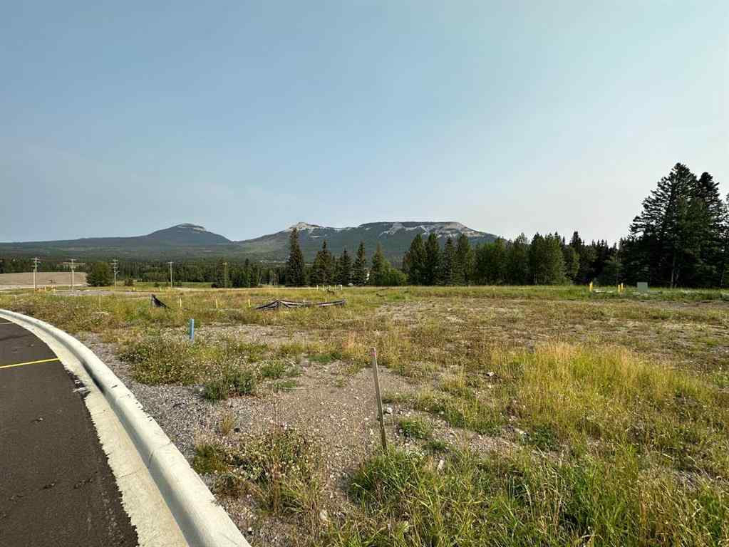 MLS® A2076086 - 120 Centre Street  in NONE Nordegg, Land