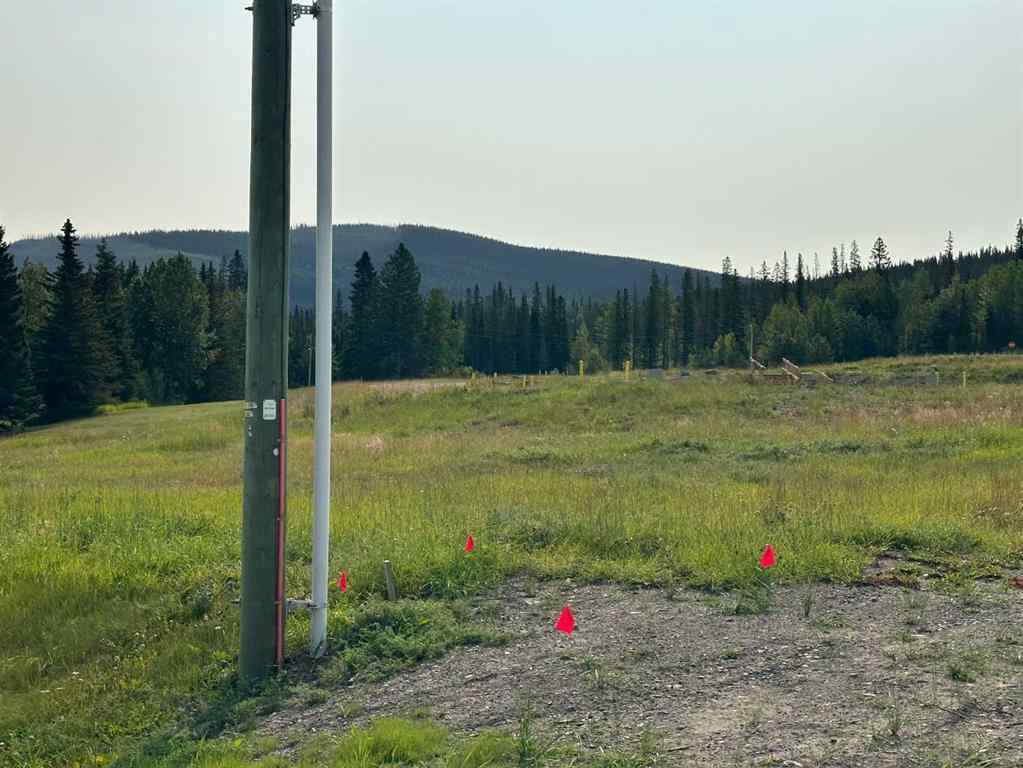 MLS® A2076087 - 124 Centre Street  in NONE Nordegg, Land