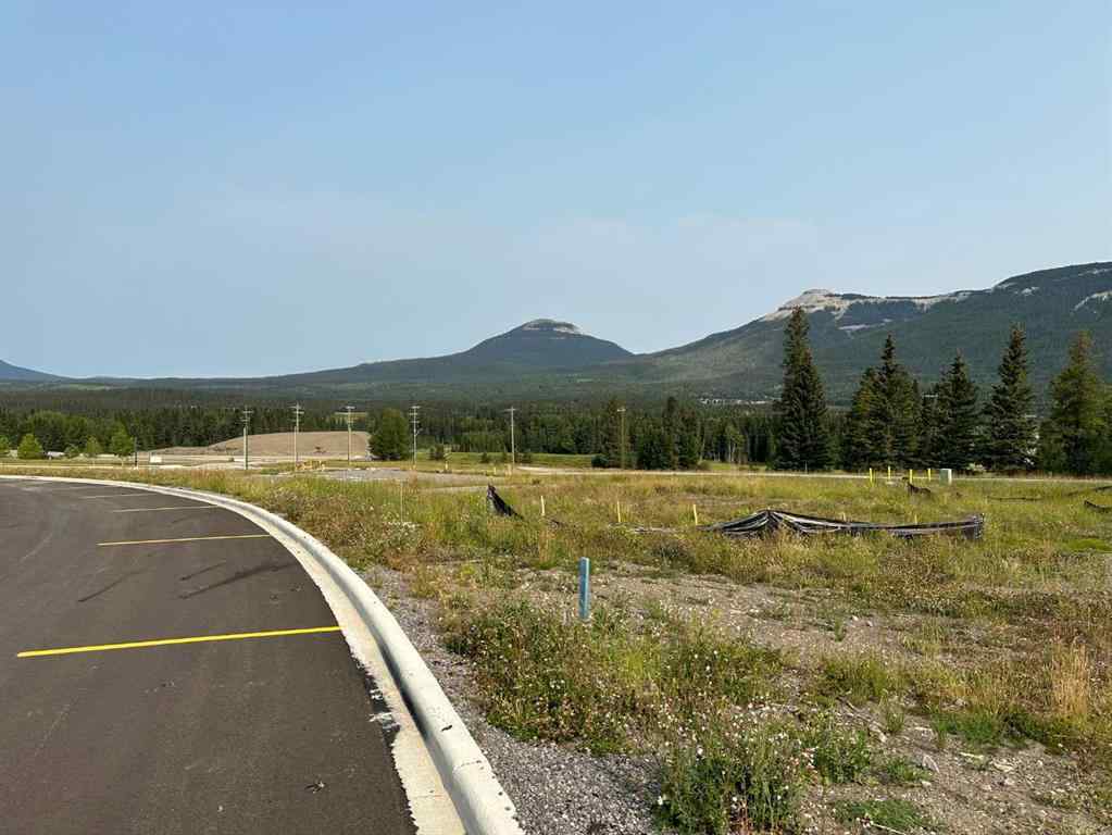 MLS® A2076087 - 124 Centre Street  in NONE Nordegg, Land