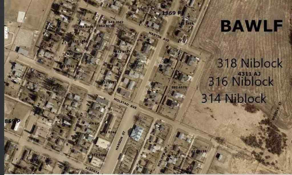MLS® A2076409 - 316 Niblock Street  in Bawlf Bawlf, Land