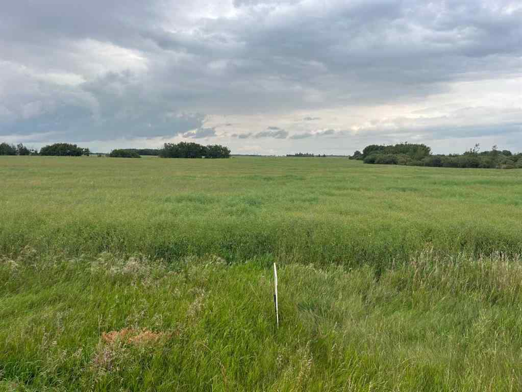 MLS® A2076409 - 316 Niblock Street  in Bawlf Bawlf, Land