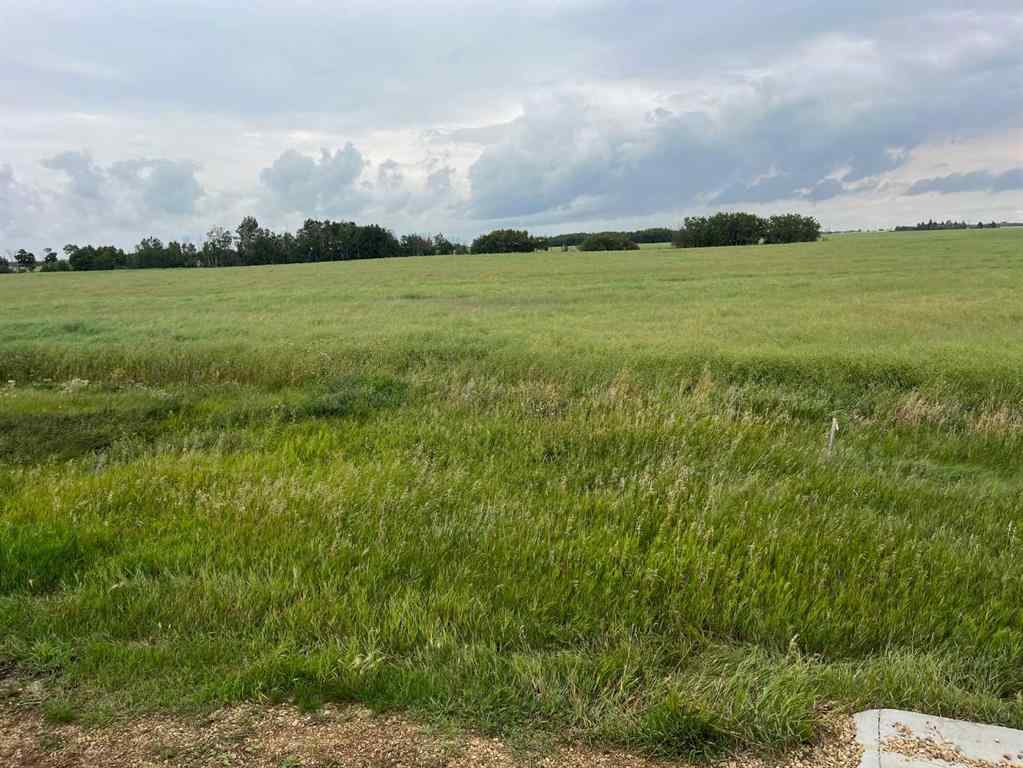 MLS® A2076411 - 318 Niblock Street  in Bawlf Bawlf, Land